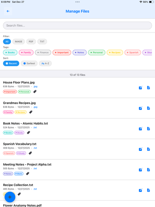 Manage Files on iPad